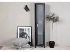 Vitrinen^ebuy24 Acero Vitrinenschrank 1 Tür 4 Ablagen Schwarz