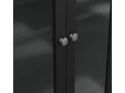 ebuy24 Madrid Vitrinenschrank 2 Glastüren 3 Schubladen Schwarz Matt