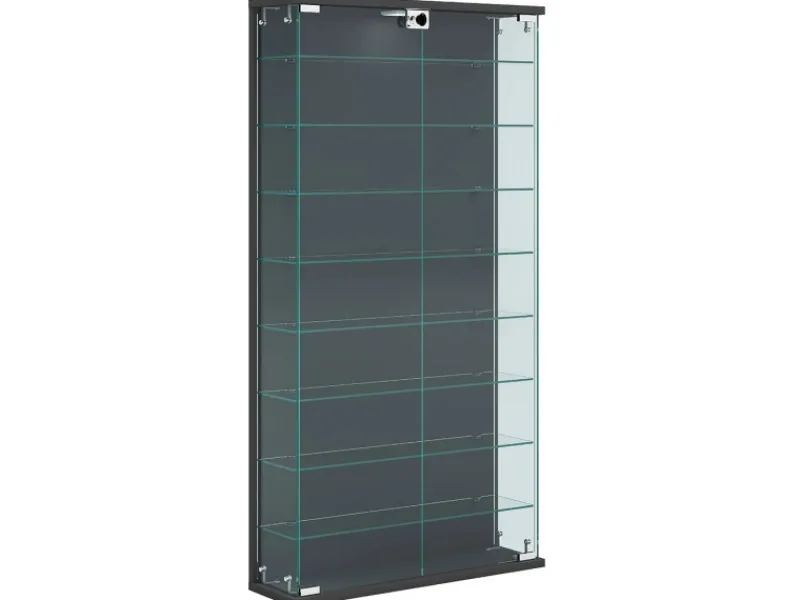 Vitrinen^ebuy24 RelasL Vitrinenschrank Wandhängend 2 Türen Anthrazit