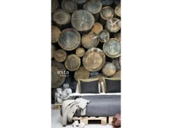 ESTAhome Fototapeten^Fototapete Baumstämme Braun 186 cm x 279 cm 158206