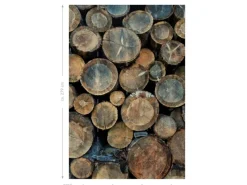 ESTAhome Fototapeten^Fototapete Baumstämme Braun 186 cm x 279 cm 158206