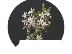 ESTAhome Wandtattoos^Selbstklebende Runde Tapete Blüte Hellrosa und Schwarz Ø 70 cm 158992