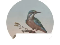 ESTAhome Wandtattoos^Selbstklebende Runde Tapete Eisvogel Auf Zweig Abendrot Ø 70 cm 158993