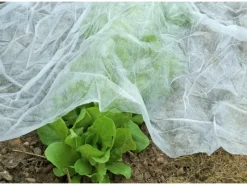 Floraworld Insektenschutz^Garten-/Wintervlies 10 m x 1,5 m