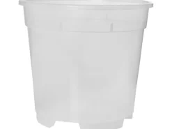 Florus Schränke^Orchideentopf Ø 12 cm Transparent