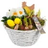 Ostern^Frühblüher-Arrangement im weißen Korb-Gefäß Topf-Ø ca. 24 cm