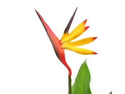 furnicato Künstliche Strelitzia Reginae Paradiesvogelblume 66 cm