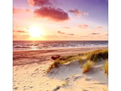 Pro Art Bilder^Glas-Art Sea Harmony 30 cm x 30 cm