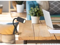 Globo Weitere Regale^Klemmstrahler Robby 1-flammig Graphit Dunkel 290 x 100 x 415 mm