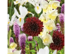 GROW by OBI Vasen^Schnittblumen-Kollektion Höhe ca. 50 cm - 100 cm