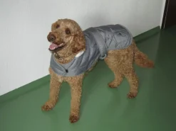 Heim Hundebedarf^Hundemantel Banbury Mit Kragen Größe S Rückenlänge 40 cm