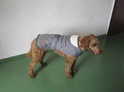 Heim Hundebedarf^Hundemantel Banbury Mit Kragen Größe S Rückenlänge 40 cm