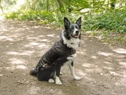 Heim Hundebedarf^RAC Regenmantel mit Vlies Gr. M Rückenlänge 41 cm Schwarz