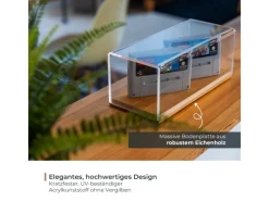 Vitrinen^HMF 46872 Acryl Vitrine Schaukasten mit Holzsockel für Modellautos 27 x 12 x 11 cm Transparent