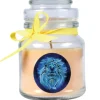 HS Candle Windlichter^Duftkerze & Glas Sternzeichen Vanille 30 Stunden Löwe