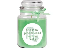 HS Candle Duftkerze & Glas Sternzeichen Coconut Limes 110 Stunden Skorpion