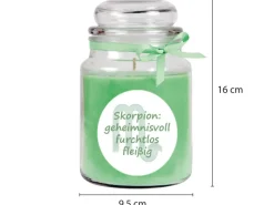 HS Candle Duftkerze & Glas Sternzeichen Coconut Limes 110 Stunden Skorpion