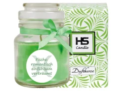 HS Candle Windlichter^Duftkerze & Glas Sternzeichen Coconut Limes 30 Stunden Fische