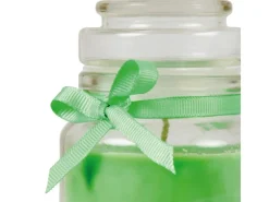 HS Candle Windlichter^Duftkerze & Glas Sternzeichen Coconut Limes 30 Stunden Fische