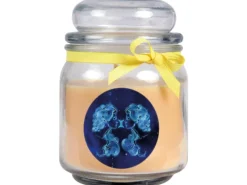 HS Candle Windlichter^Duftkerze & Glas Sternzeichen Vanille 70 Stunden Zwillinge