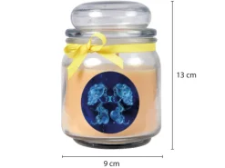 HS Candle Windlichter^Duftkerze & Glas Sternzeichen Vanille 70 Stunden Zwillinge