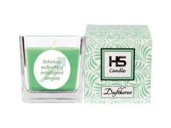 HS Candle Windlichter^Duftkerze & Glas Sternzeichen Coconut Limes 50 Stunden Schütze