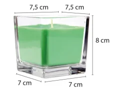 HS Candle Windlichter^Duftkerze & Glas Sternzeichen Coconut Limes 50 Stunden Schütze