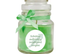 HS Candle Windlichter^Duftkerze & Glas Sternzeichen Coconut Limes 30 Stunden Schütze