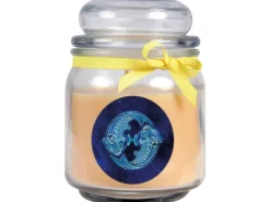 HS Candle Windlichter^Duftkerze & Glas Sternzeichen Vanille 70 Stunden Fische