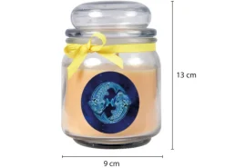 HS Candle Windlichter^Duftkerze & Glas Sternzeichen Vanille 70 Stunden Fische