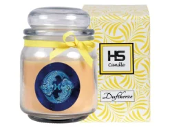 HS Candle Windlichter^Duftkerze & Glas Sternzeichen Vanille 70 Stunden Fische