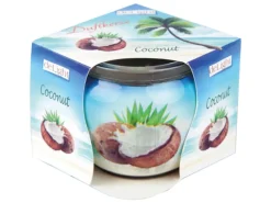 HS Candle Kerzen^Duftkerze Motiv Kerze Raumduft Coconut