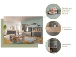 Inn.Furn Vitrine Eiche Grau 57 x 200 cm mit Soft-Close Tomaso