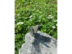 Vogeltränken^Insektentränke mit Schmetterling 20 cm x 30 cm