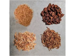 Terraristik^Insektus Mehr Sorten Mix Koifutter 5 Liter