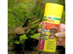 JBL Terraristik^Pronovo Lotl Grano M 250 ml