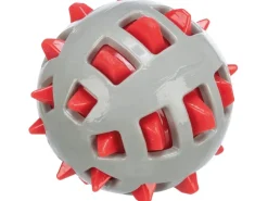 Jollypaw Hundebedarf^Ball mit Noppen TPR Ø 10 cm Grau