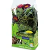 Kleintierbedarf^JR Farm Nager-Ergänzungsfutter Grainless Plus Salbei und Löwenzahn 100 g