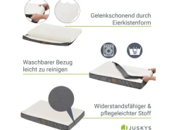 Juskys Hundebedarf^Hundebett Milow Orthopädisch Wendbar 76x51 cm