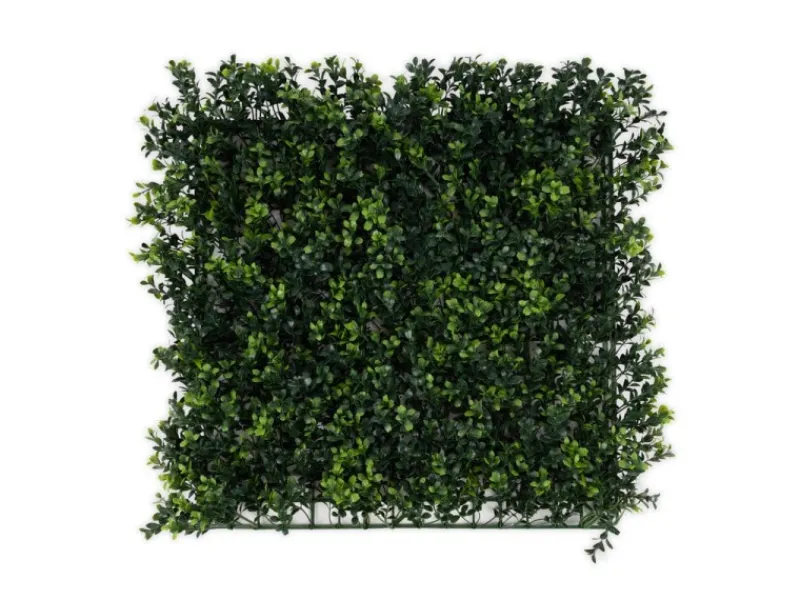 Karat Kunstpflanzen^Pflanzenwand Boxwood Kunstpflanze zur Dekoration 50 x 50 cm