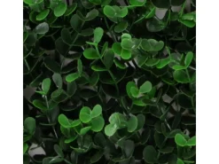 Karat Kunstpflanzen^Pflanzenwand Buxus Kunstpflanze zur Dekoration 50 x 50 cm