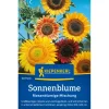 Kiepenkerl Sonnenblumen "Riesenblume Mischung" Mehrfarbig