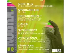 Sprühlacke^Kobra DIY Fluo Buntlack Spray 400ml Flour Neon Matt
