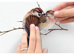 Komar Deko-Sticker Sticker Vogerl 50 cm x 70 cm