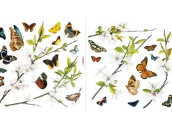 Komar Klebefolien|Wandtattoos^Fenstersticker Cheerful 31 cm x 31 cm