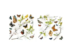 Komar Fenstersticker Cheerful 30 cm x 30 cm