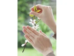 Komar Fenstersticker Cheerful 30 cm x 30 cm