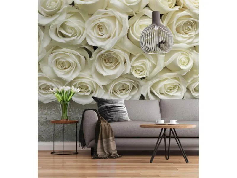 Komar Fototapete A la Rose 368 x 254 cm