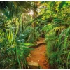 Komar Fototapete Jungle Trail 368 cm x 254 cm FSC®