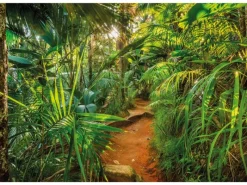 Komar Fototapete Jungle Trail 368 cm x 254 cm FSC®